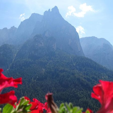 Schmalzlhof Apartman Siusi Kültér fotó